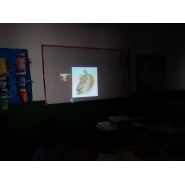 Educar en Igualdad